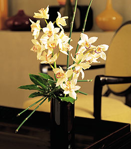  Kars online ieki , iek siparii  cam yada mika vazo ierisinde dal orkide
