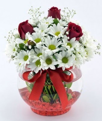 Fanusta 3 Gül ve Papatya  Kars yurtiçi ve yurtdışı çiçek siparişi 