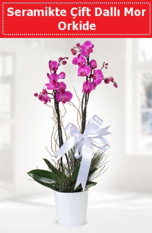 Seramikte Çift Dallı Mor Orkide  Kars çiçek , çiçekçi , çiçekçilik 