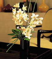  Kars online çiçekçi , çiçek siparişi  cam yada mika vazo içerisinde dal orkide