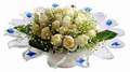 cam günes ve dolunay bembeyaz  Kars çiçek online çiçek siparişi 