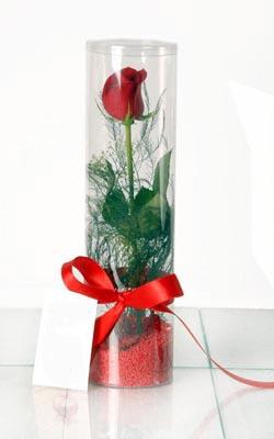  Kars uluslararası çiçek gönderme  Silindir vazoda tek kirmizi gül