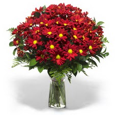  Kars uluslararası çiçek gönderme  Kir çiçekleri cam yada mika vazo içinde
