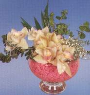  Kars çiçek siparişi sitesi  Dal orkide kalite bir hediye