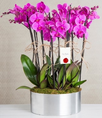 11 dallı mor orkide metal vazoda  Kars cicekciler , cicek siparisi 