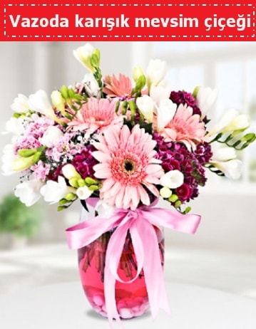 Vazoda karışık mevsim çiçeği  Kars çiçek online çiçek siparişi 